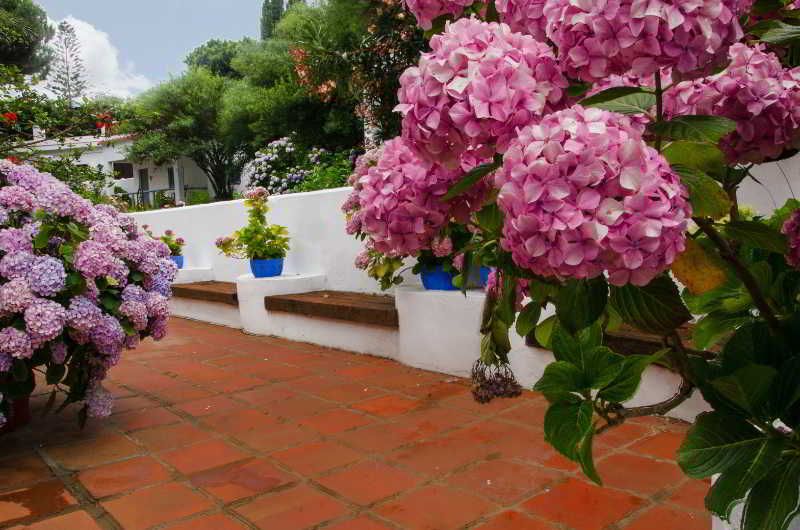 Meson de Sancho, foto 15
