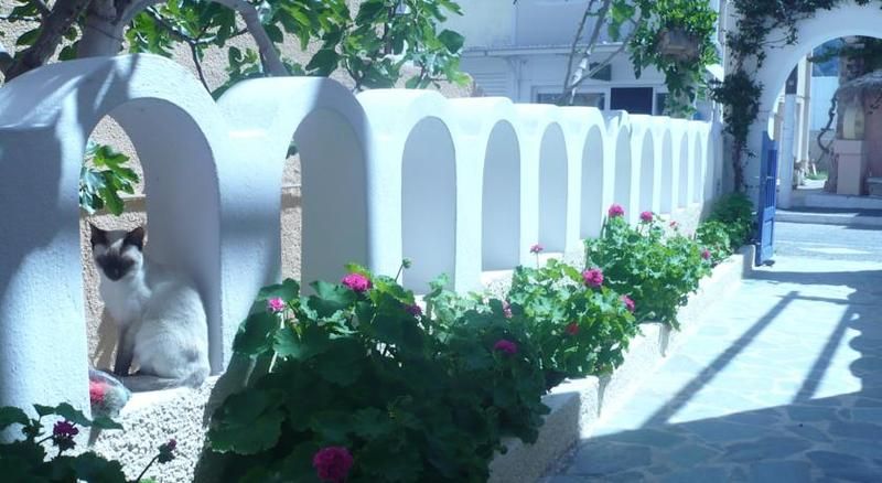 Dilino Hotel, foto 4