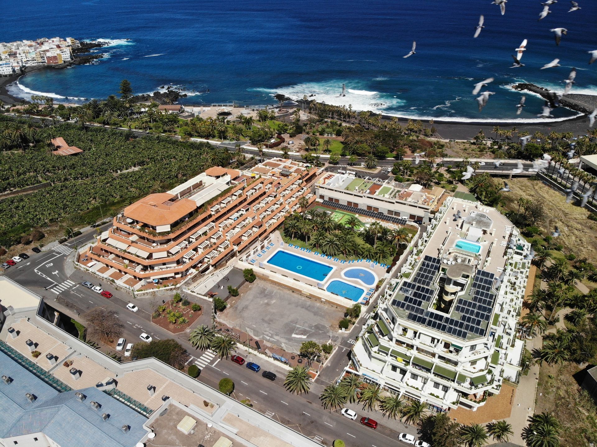 Bahia Playa, foto 5