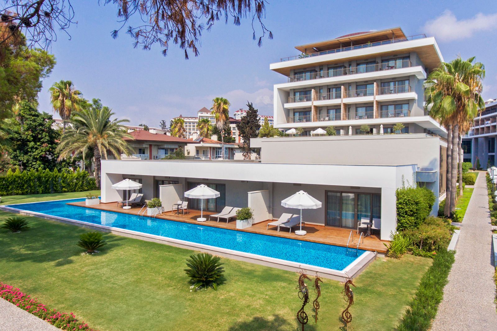 Acanthus Cennet Barut Collection, foto 6
