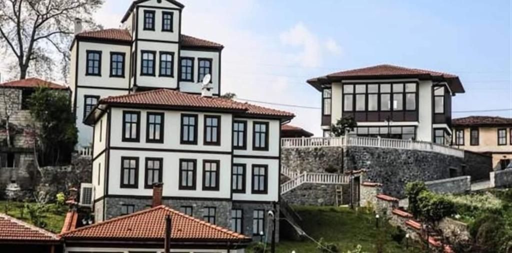 Mehmet Efendi Konagi, foto 11