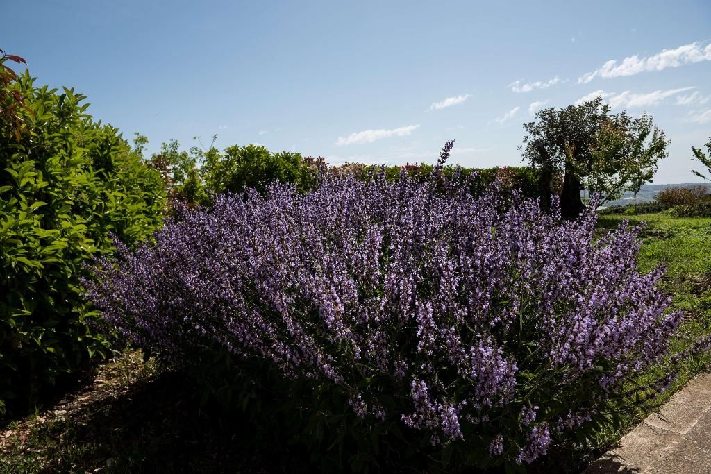 La Dimora di Spartivento, Best Western Signature Collection, foto 15