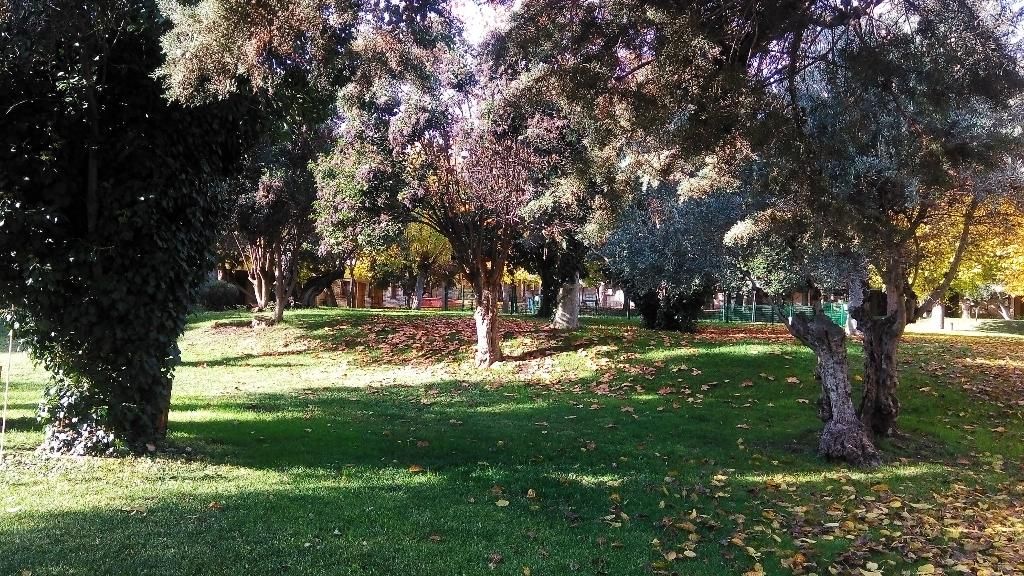 Hotel Los Olivos, foto 6