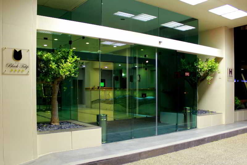 Hotel Black Tulip Porto, foto 5