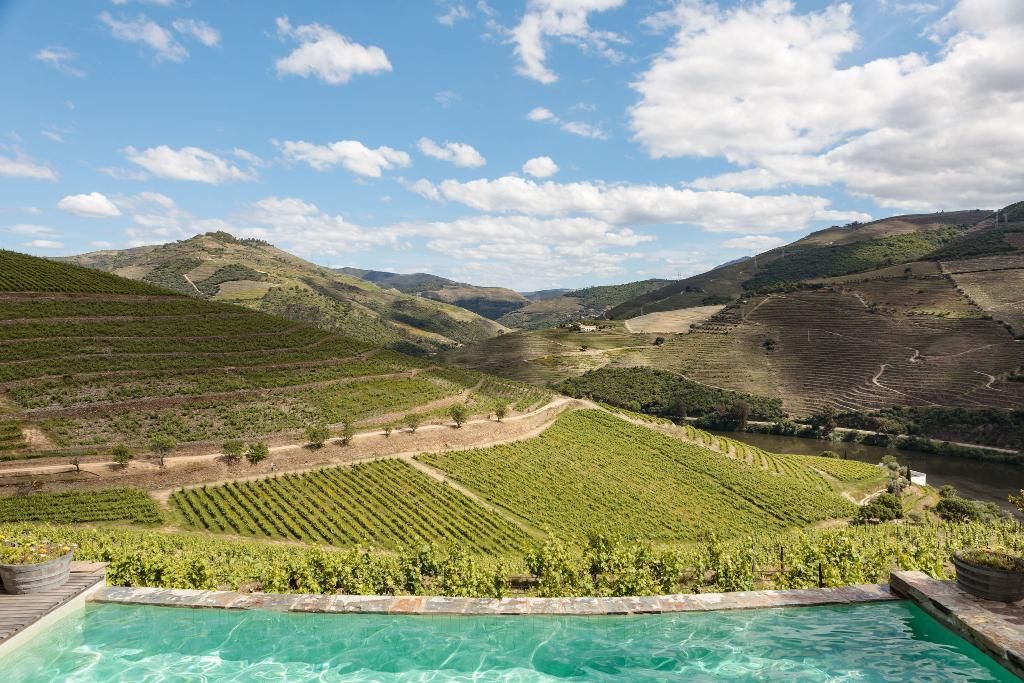 Quinta Nova de Nossa Senhora do Carmo - Winery House, foto 10