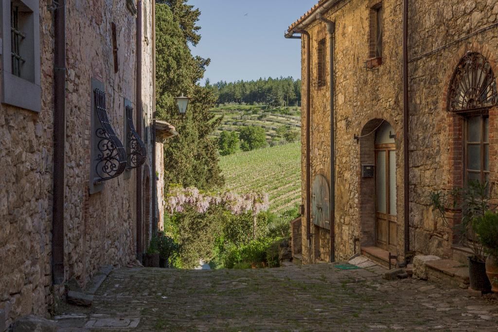 Castello Di Fonterutoli, foto 8