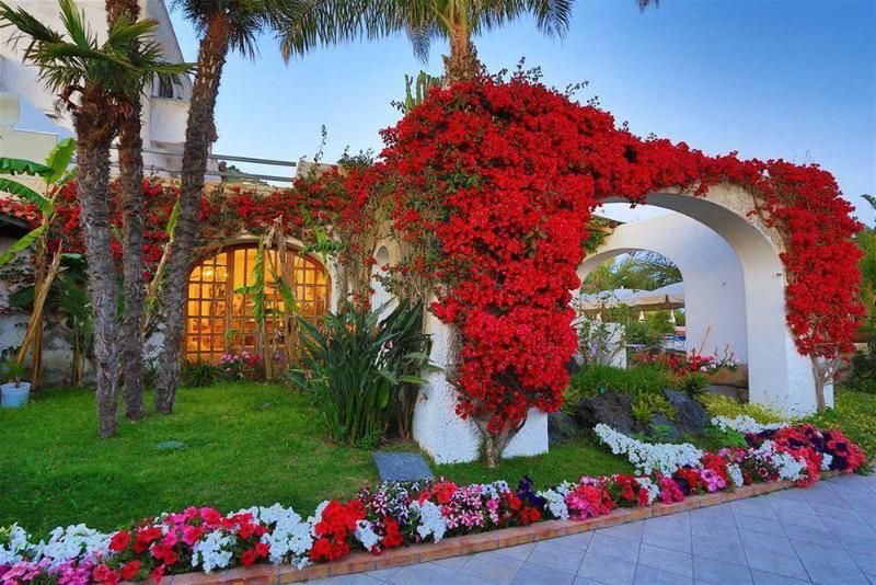B&B HOTEL Ischia San Nicola, foto 9