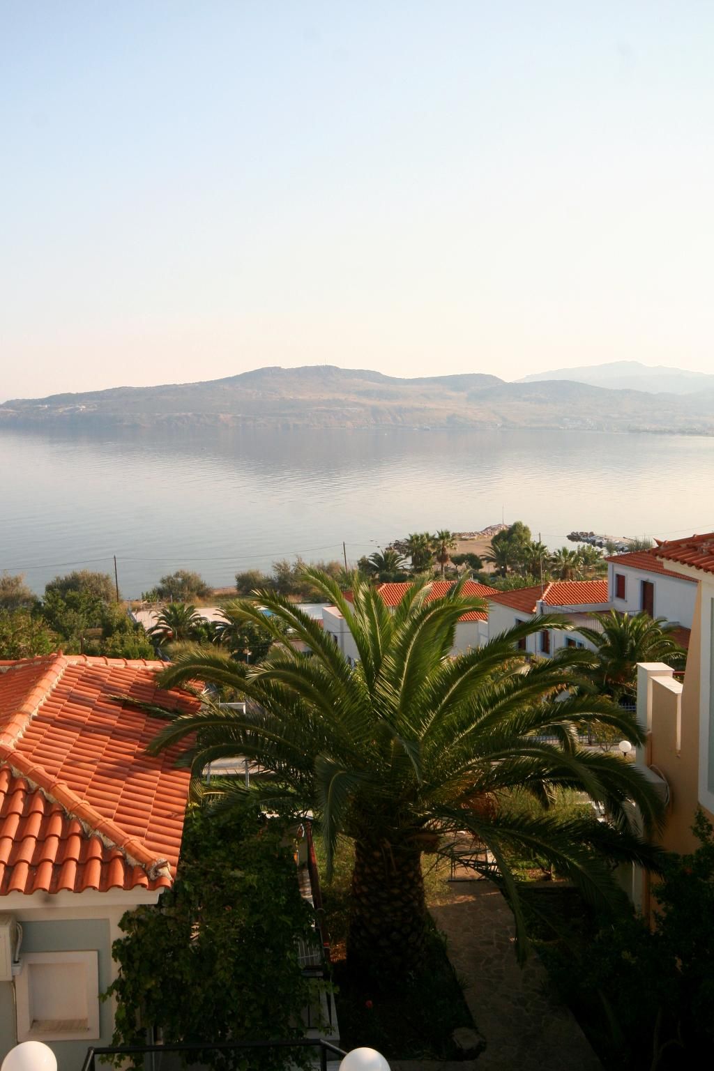 Clara Hotel, foto 14