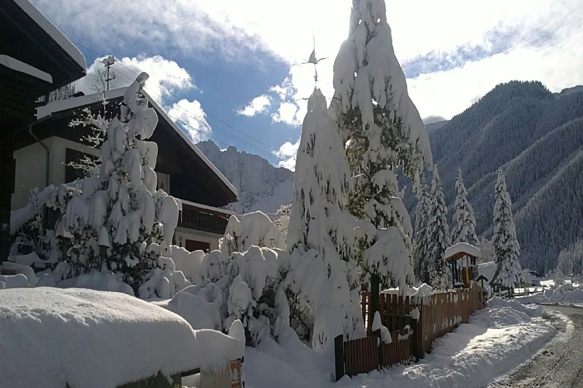 Jardin (hiver)