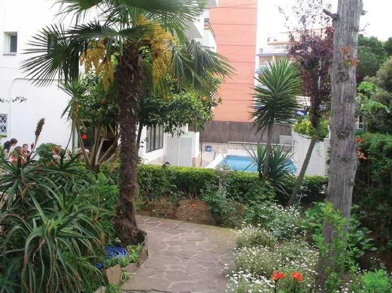 Hostal Magnolia, foto 13