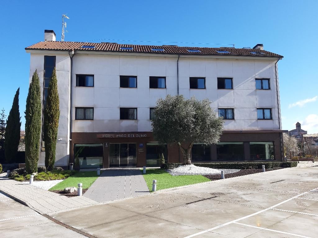 Pago del Olivo, foto 15