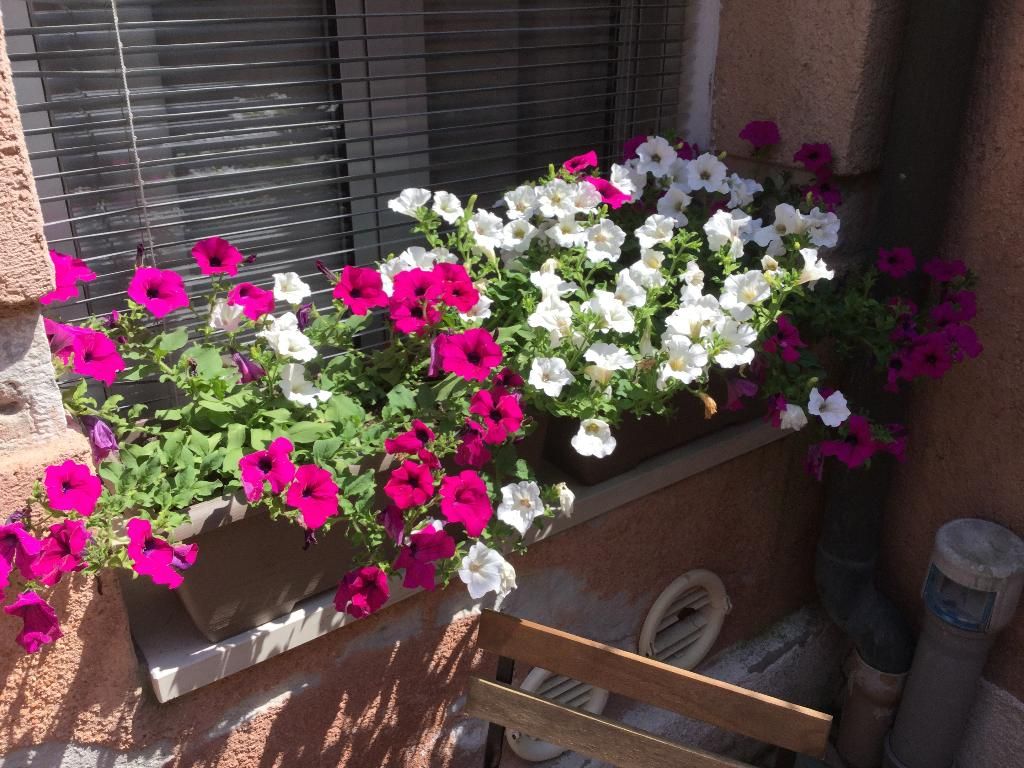 Cannaregio II, foto 2