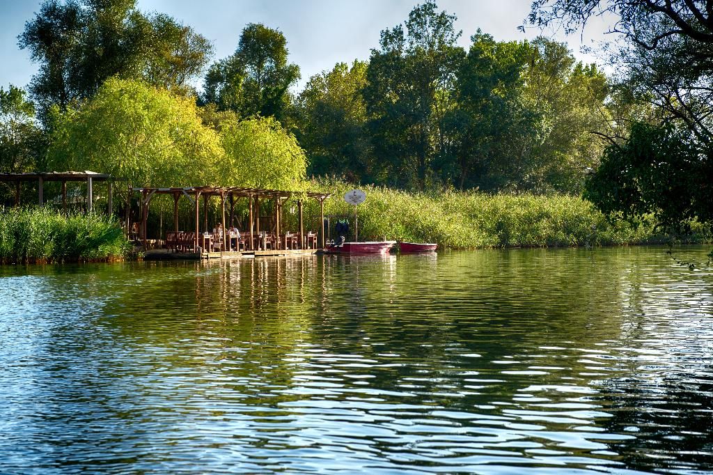 Wineport Lodge Agva, foto 5