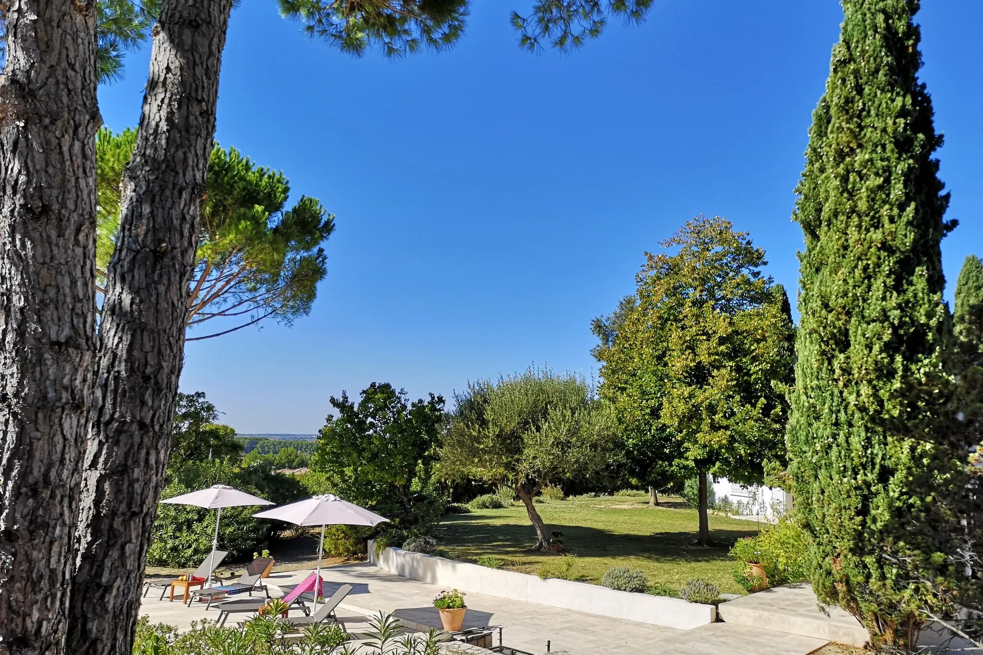 Jardin (été)