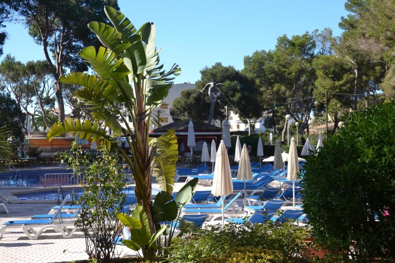 Hotel Pabisa Sofía, foto 8