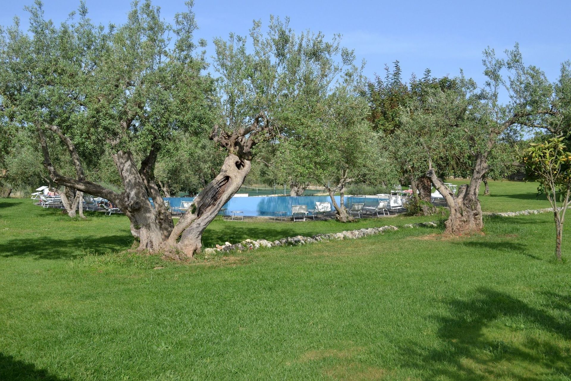 Masseria degli Ulivi, foto 9