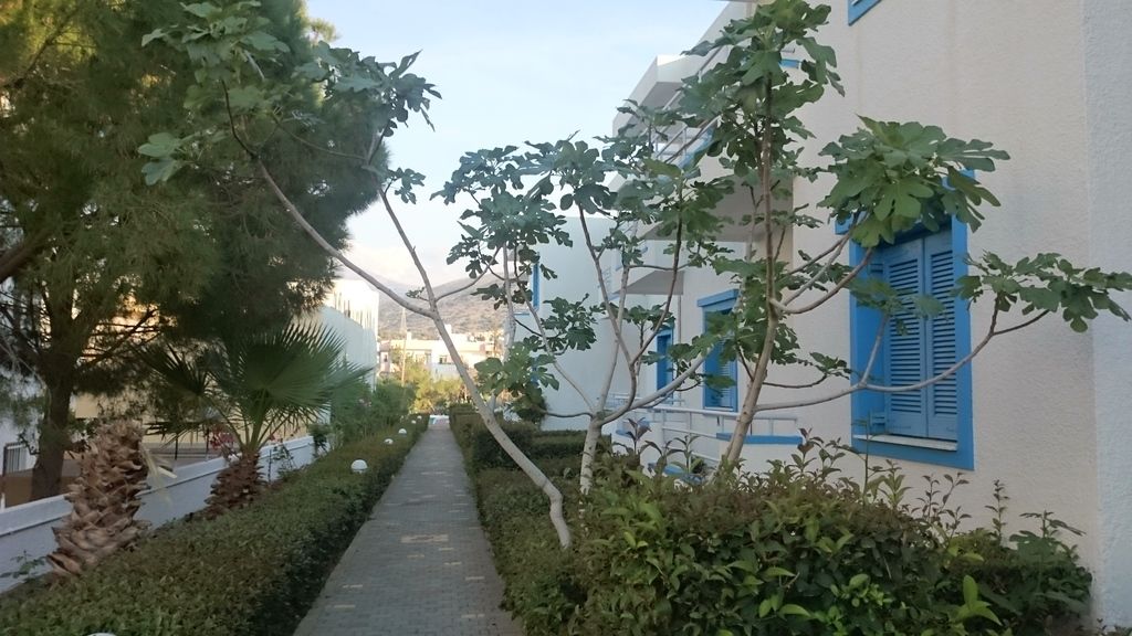 Amazones Villas Apartments, foto 11