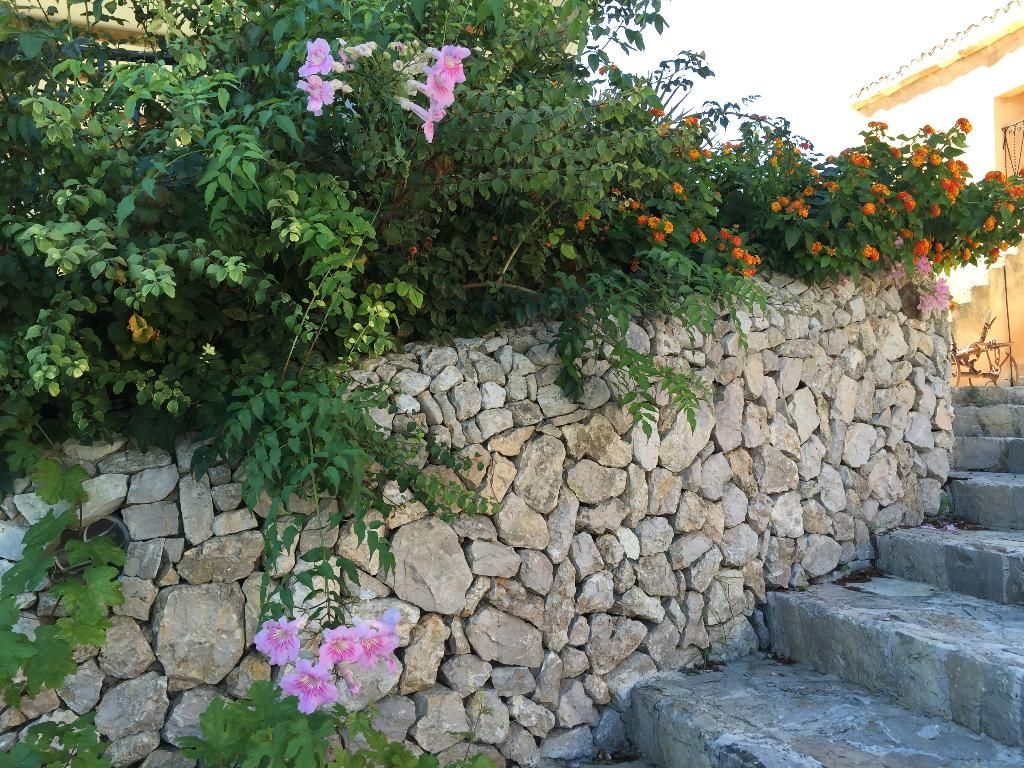 Agroturisme Es Picot, foto 10