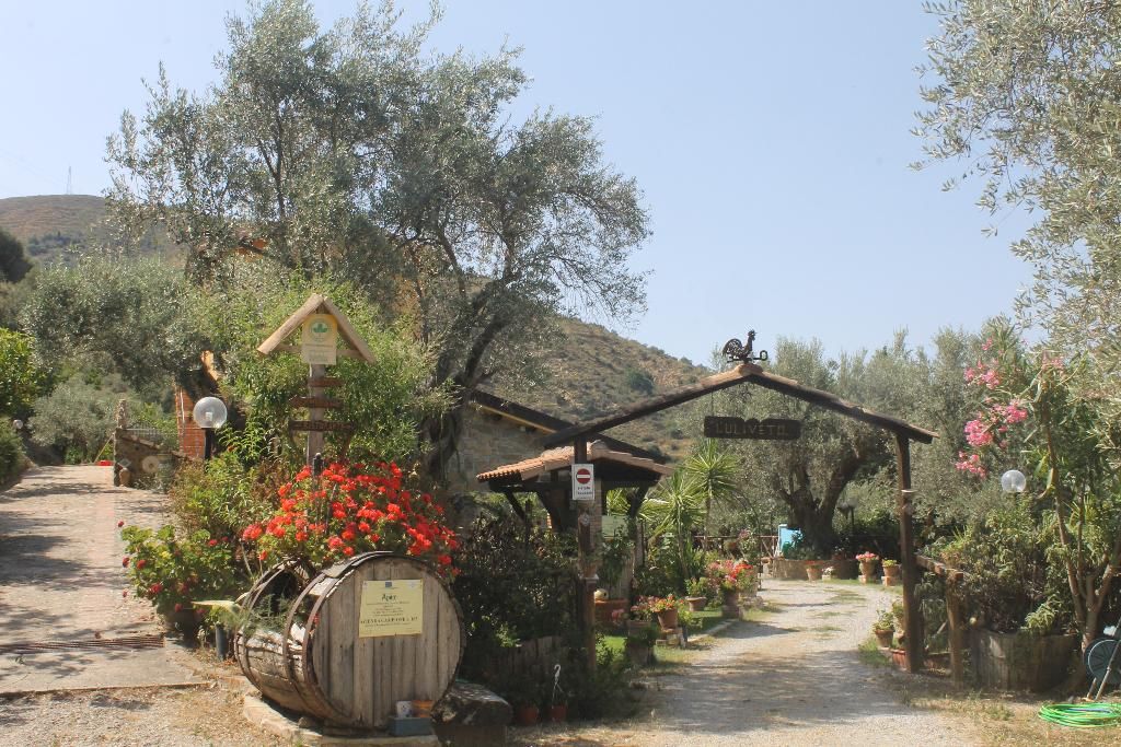 L'uliveto, foto 13