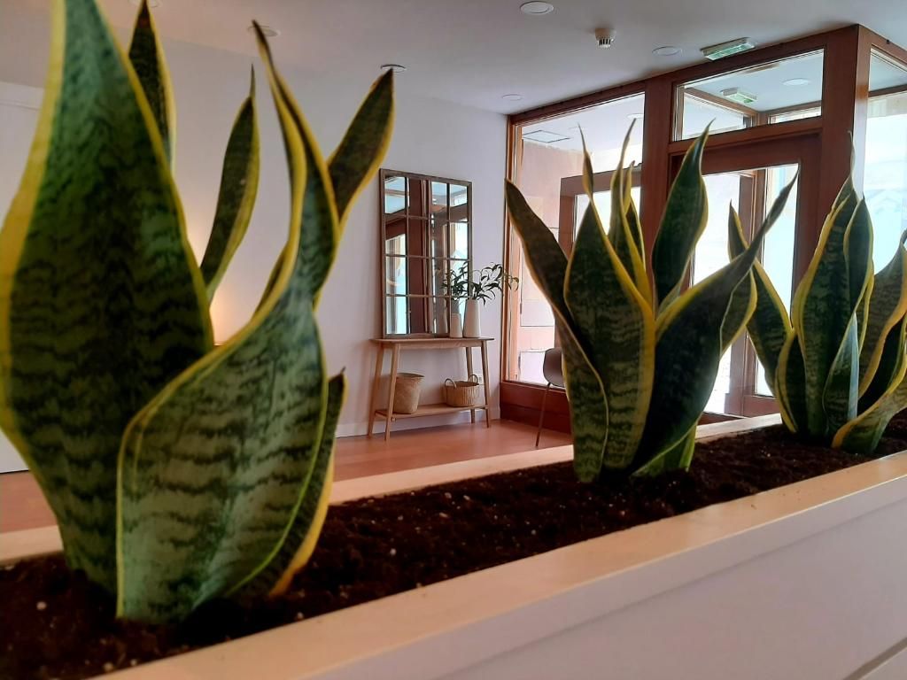 Hotel Beratxa, foto 14
