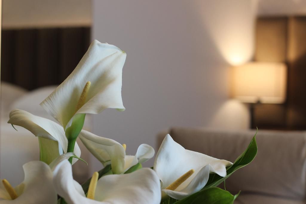 Riva Hotel Nisantasi, foto 8