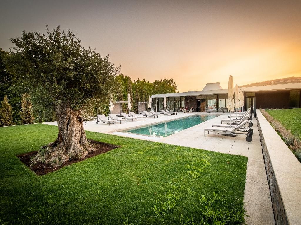 Quinta da Pacheca, foto 6