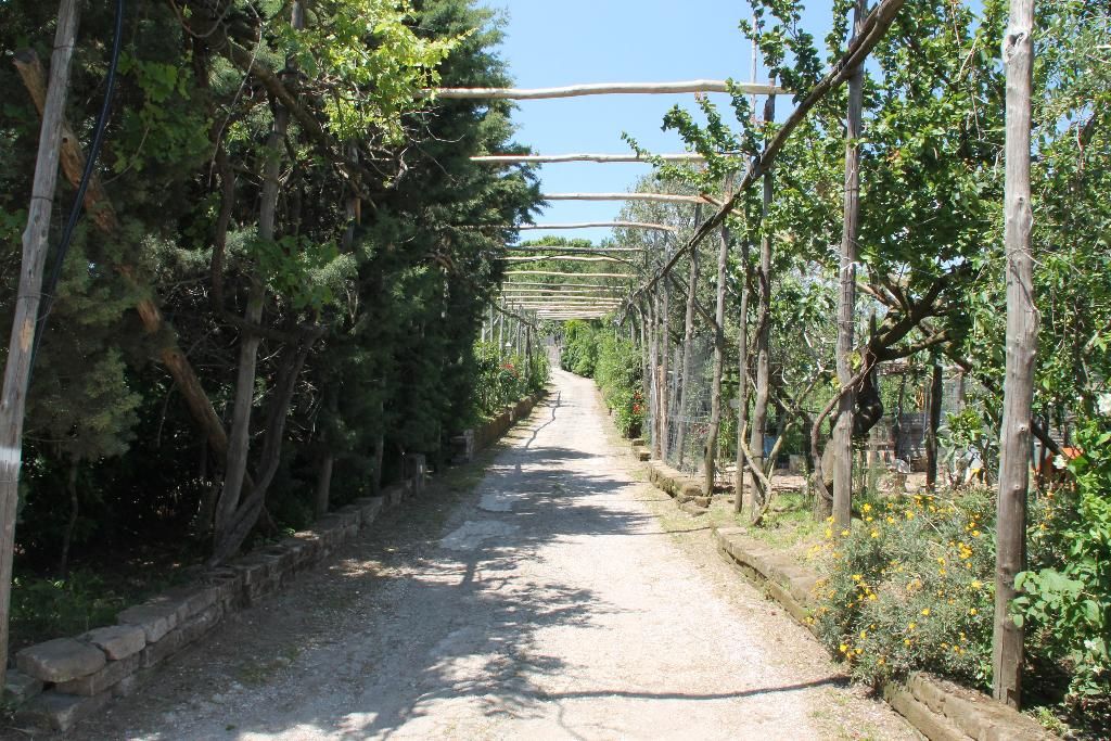Agriturismo Piccolo Paradiso, foto 11