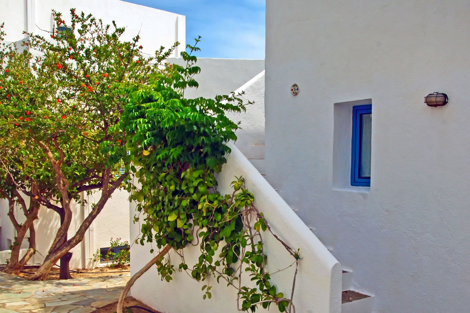 Palatia Village, foto 13