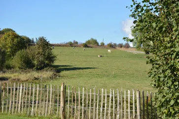Uitzicht van vakantiehuis (zomer)
