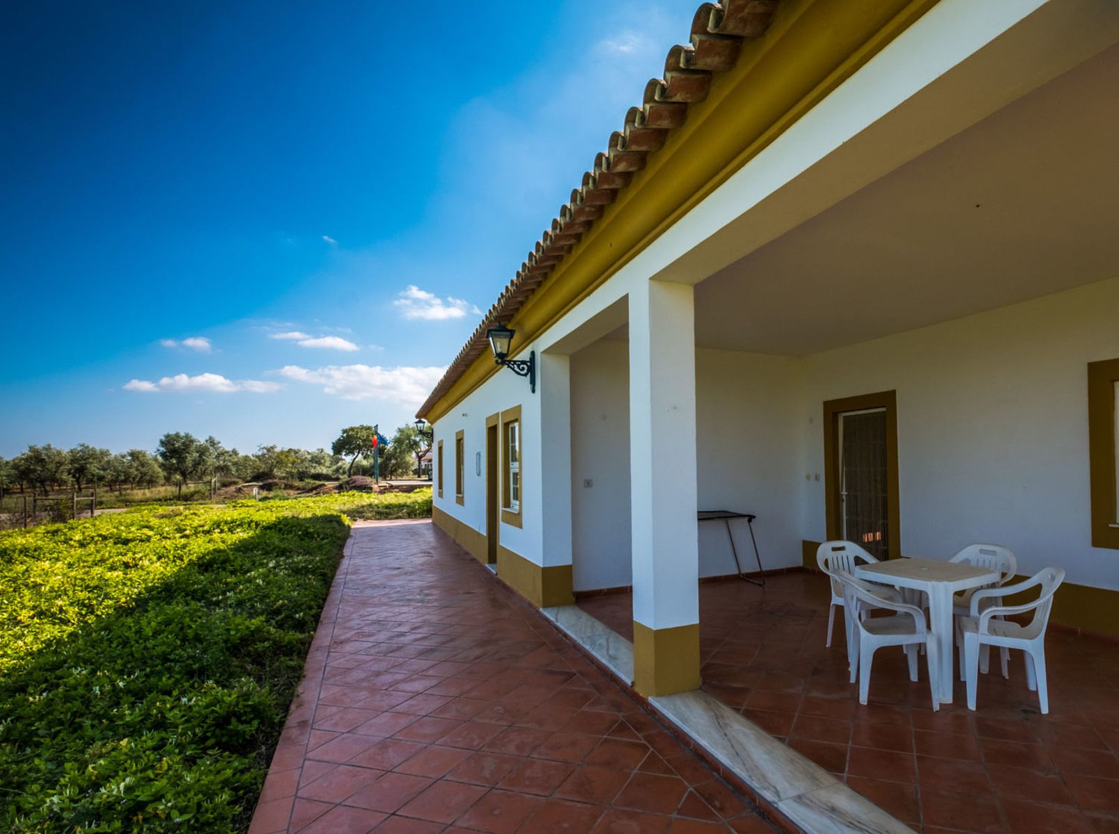 Hotel Rural Vila Gale Alentejo Vineyards, foto 4