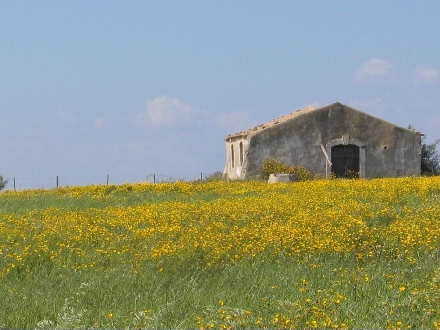 Privé wandelreis Magna Via Francigena: van Palermo naar Agrigento, foto 7