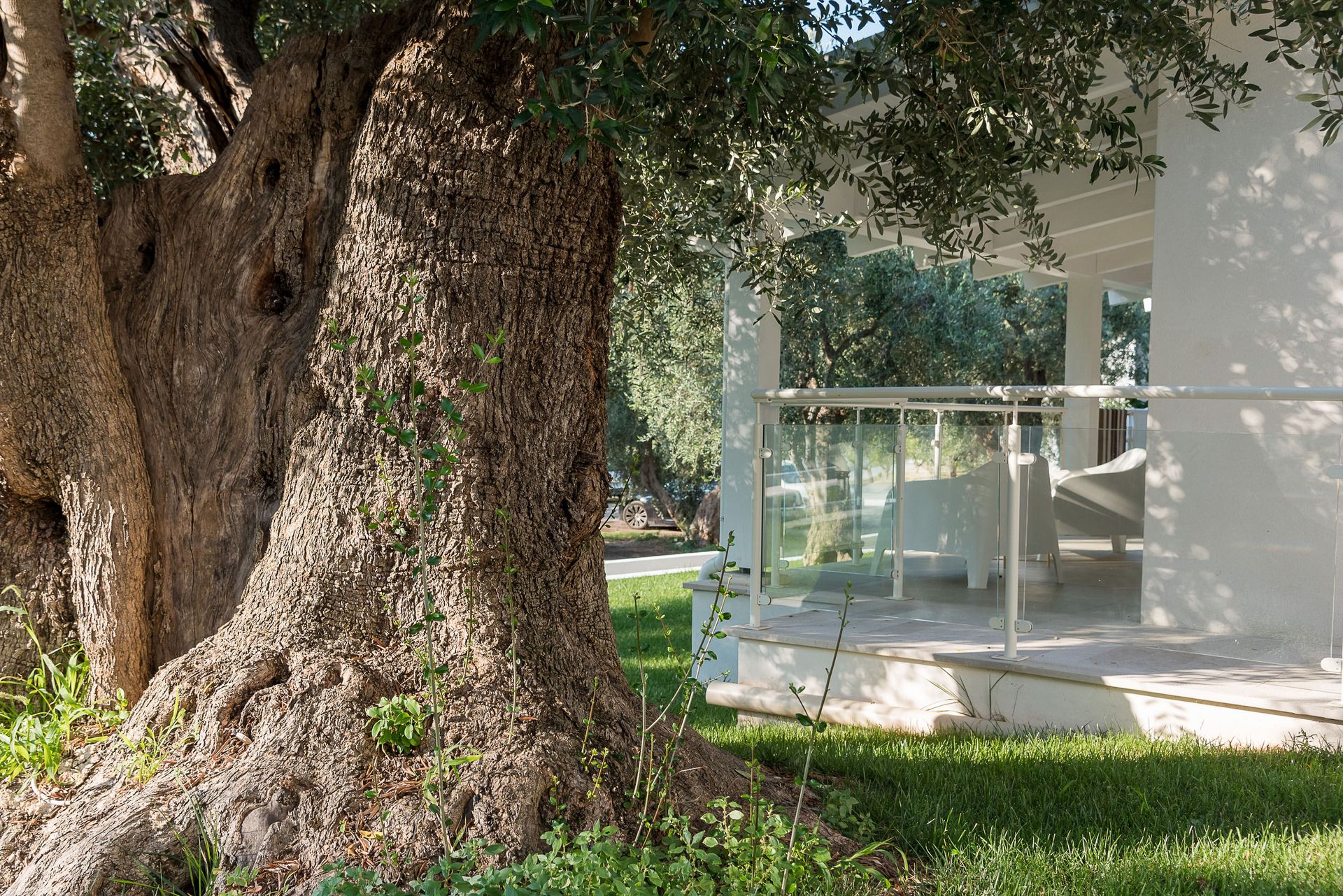 Agriturismo Giorgio, foto 13