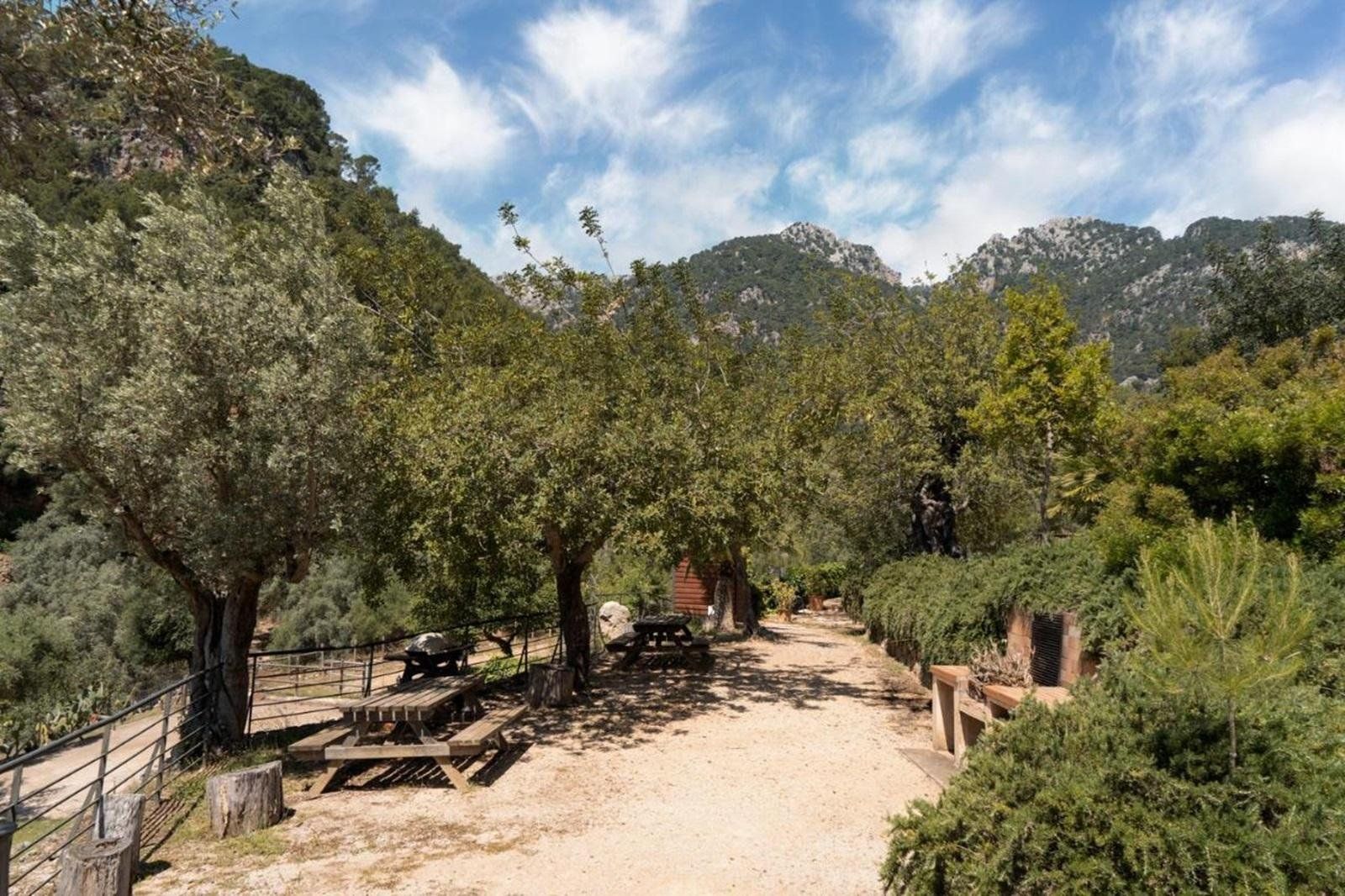 Alfabia Nou Agroturismo, foto 8