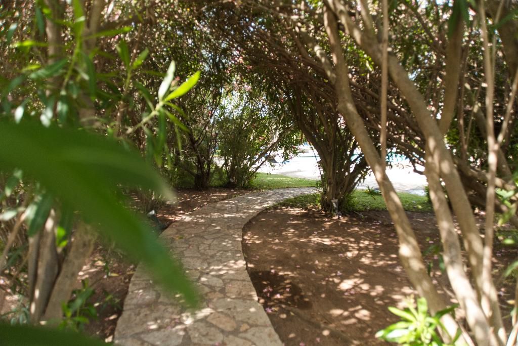Relais Antiche Saline, foto 15