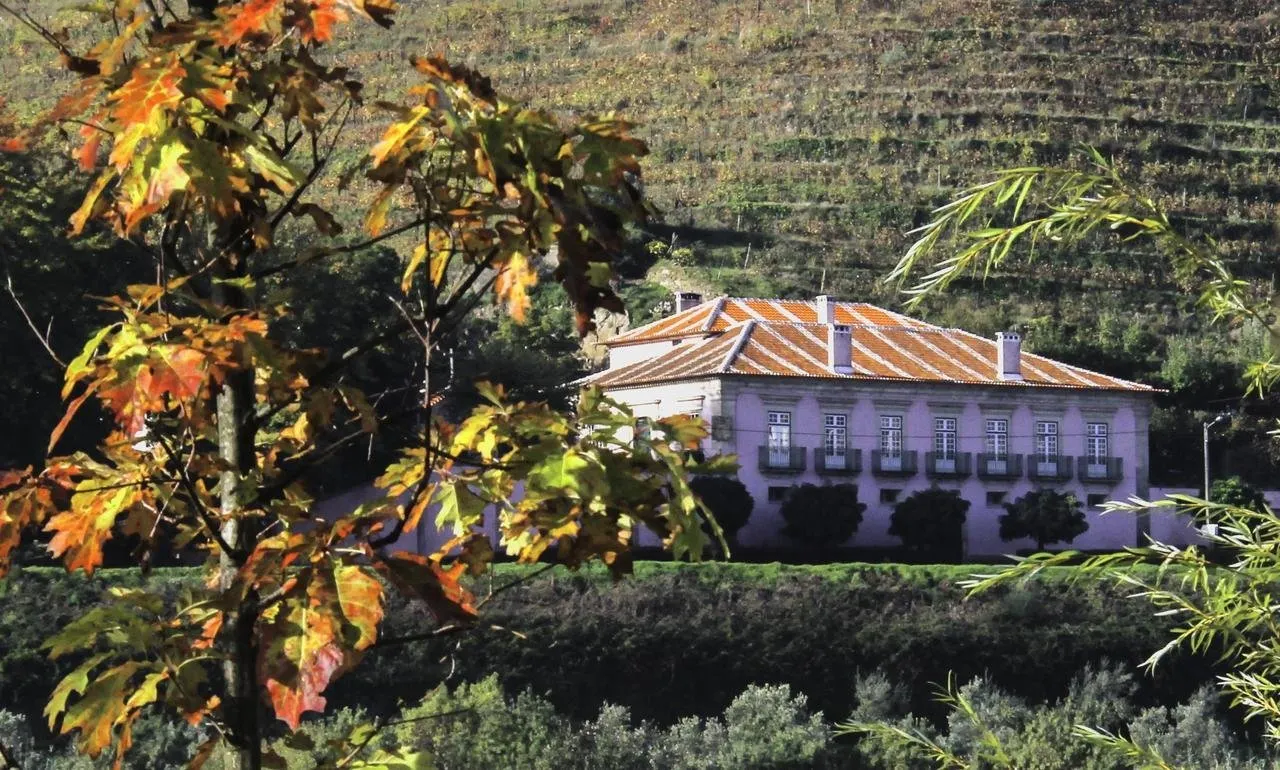 Casa dos Varais - Regua