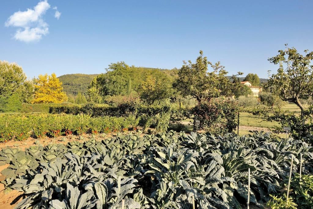 Villa La Massa, foto 3