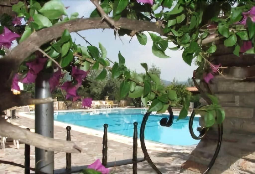 Il Giardino, foto 10
