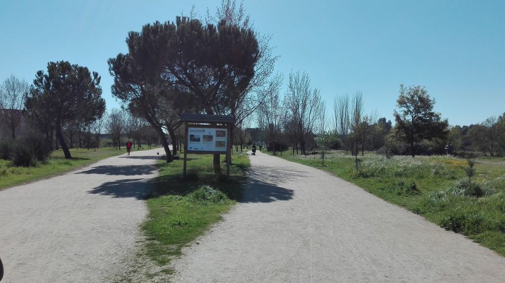 Rambla Emerita, foto 15