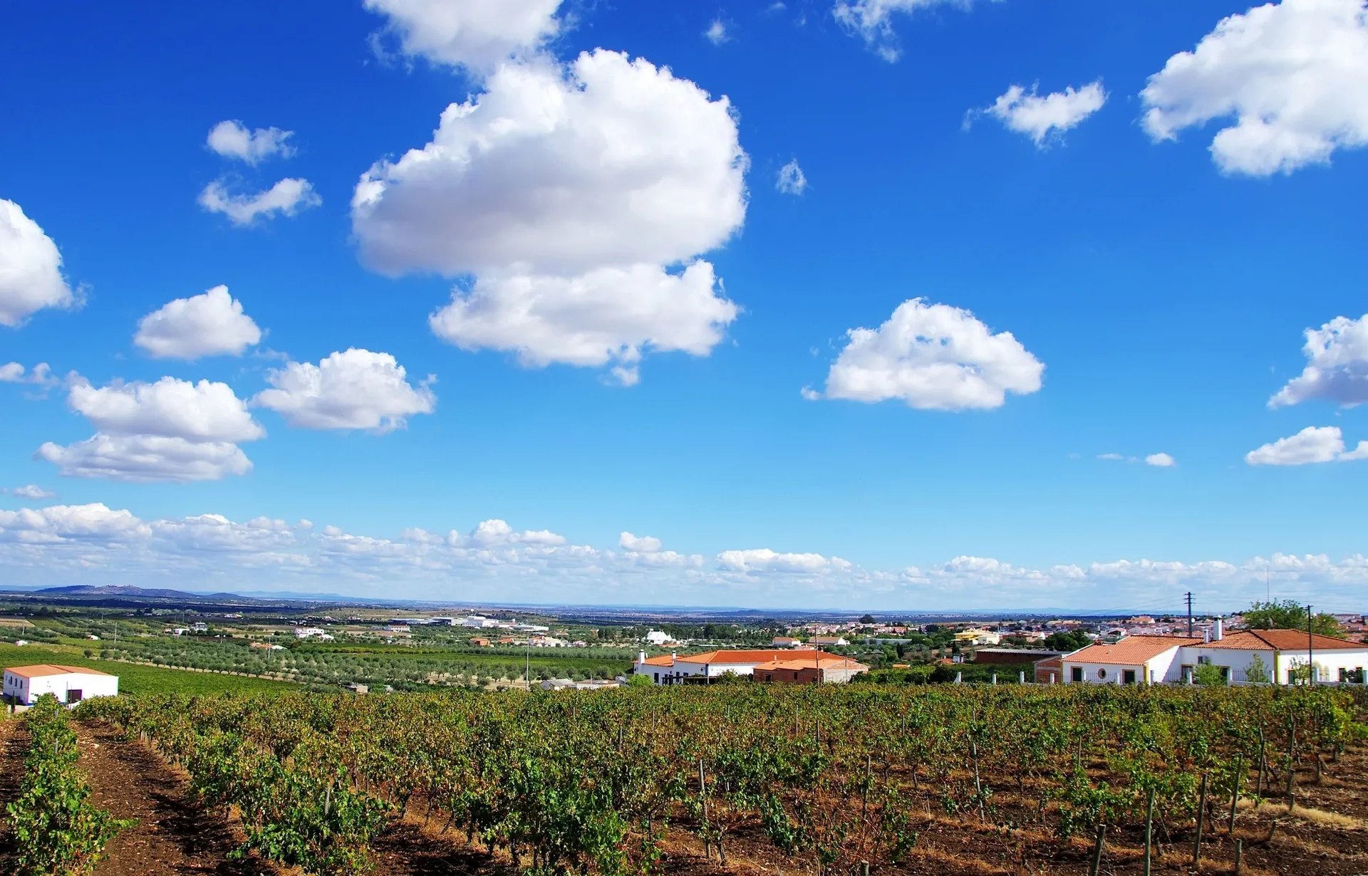 Fly-drive Alentejo couleur locale 8 dagen