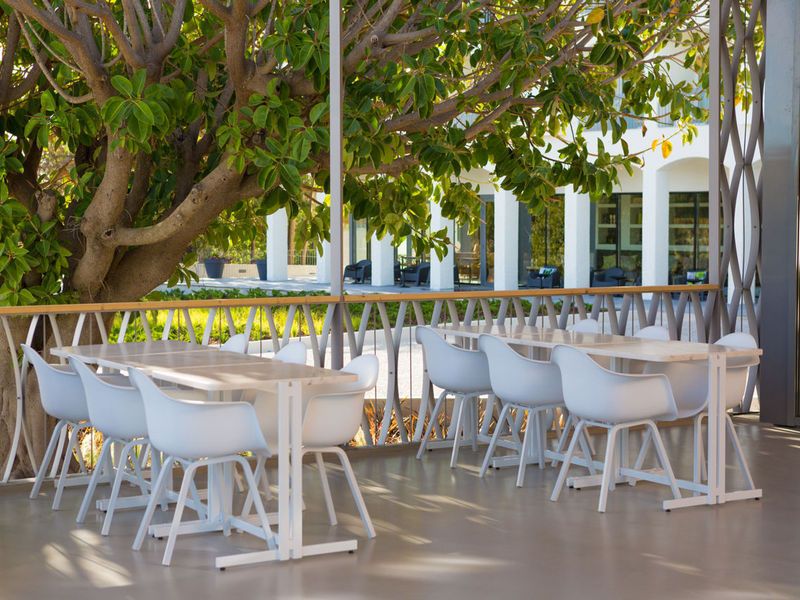 Ozadi Tavira Hotel, foto 11