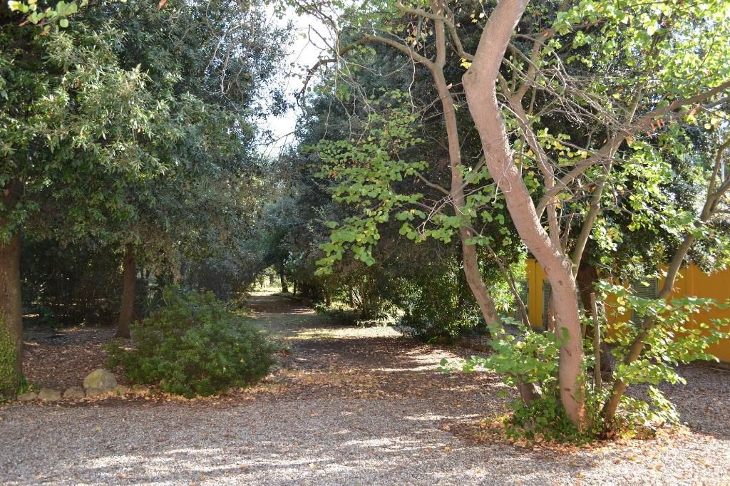 Agriturismo Villa Graziani, foto 12