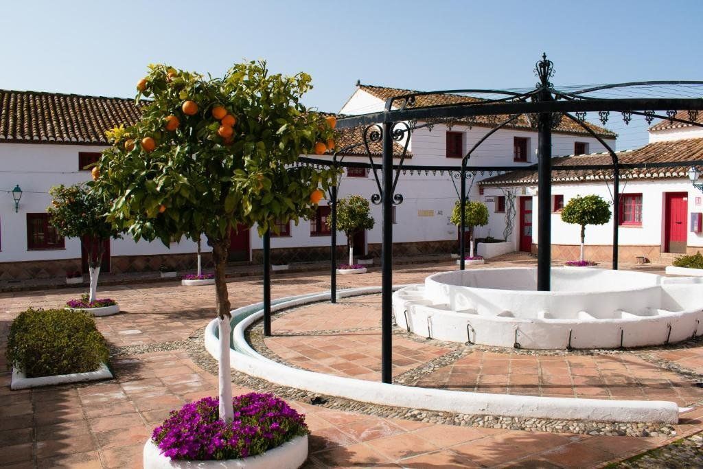 Cortijo del Arte, foto 2