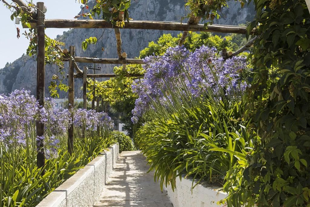 Suite Time Capri Villa La Pergola, foto 10