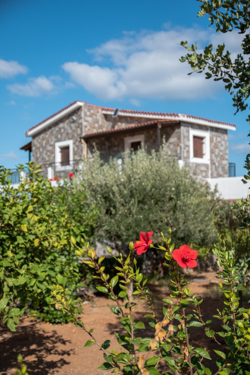 Villa Medusa, foto 8