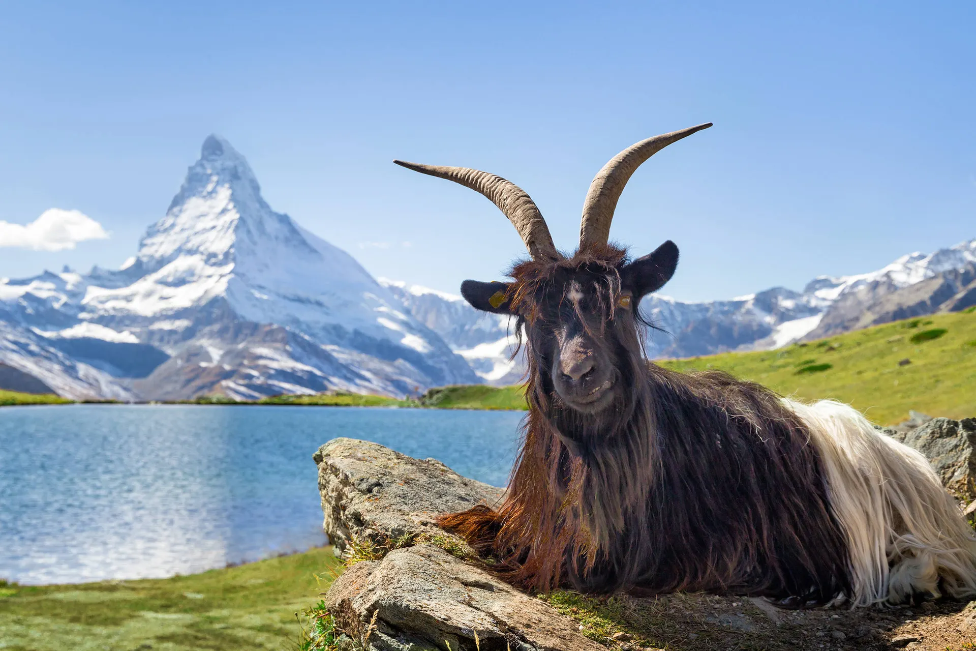 View op Matterhorn