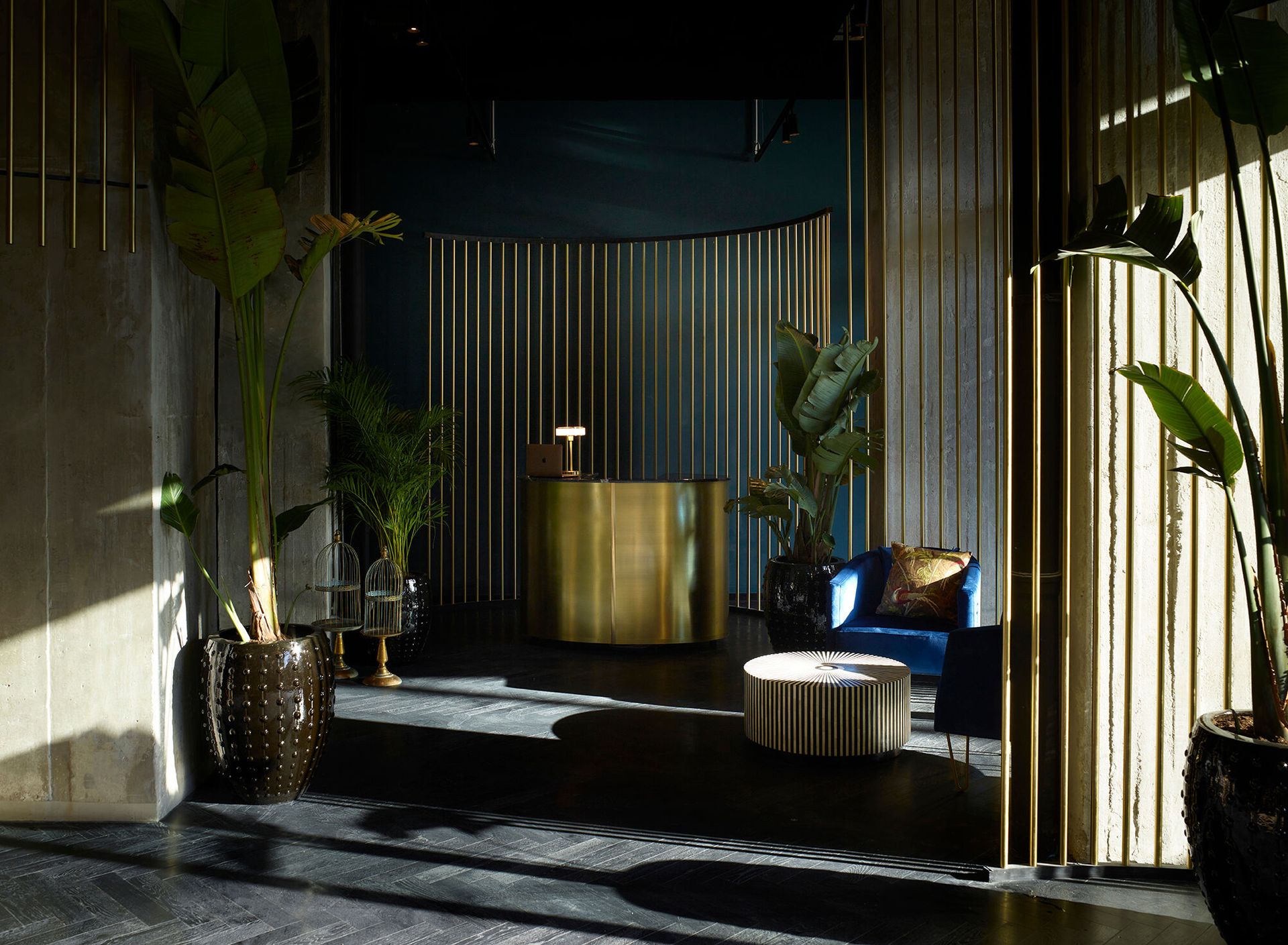 Skylark, Aluma Hotel & Resort, foto 10