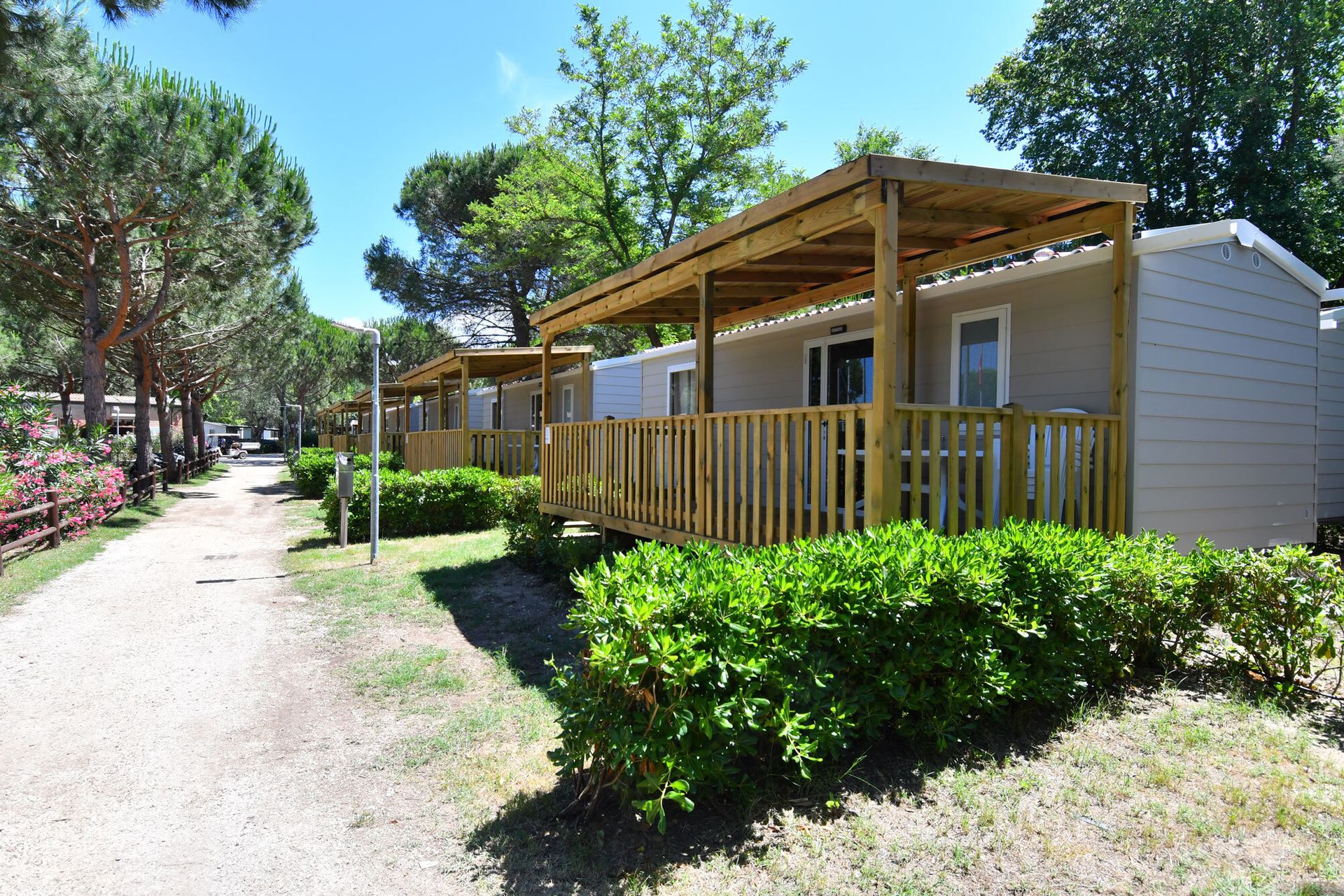 Marina Family Resort, foto 2