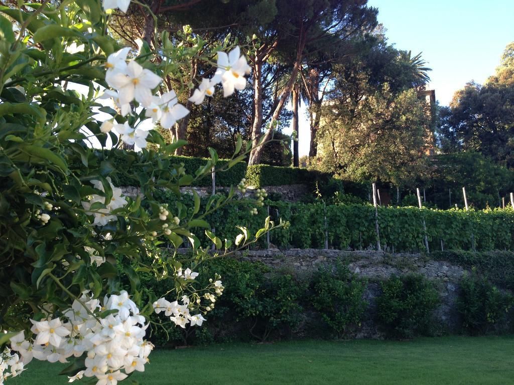Villa Agnese, foto 15