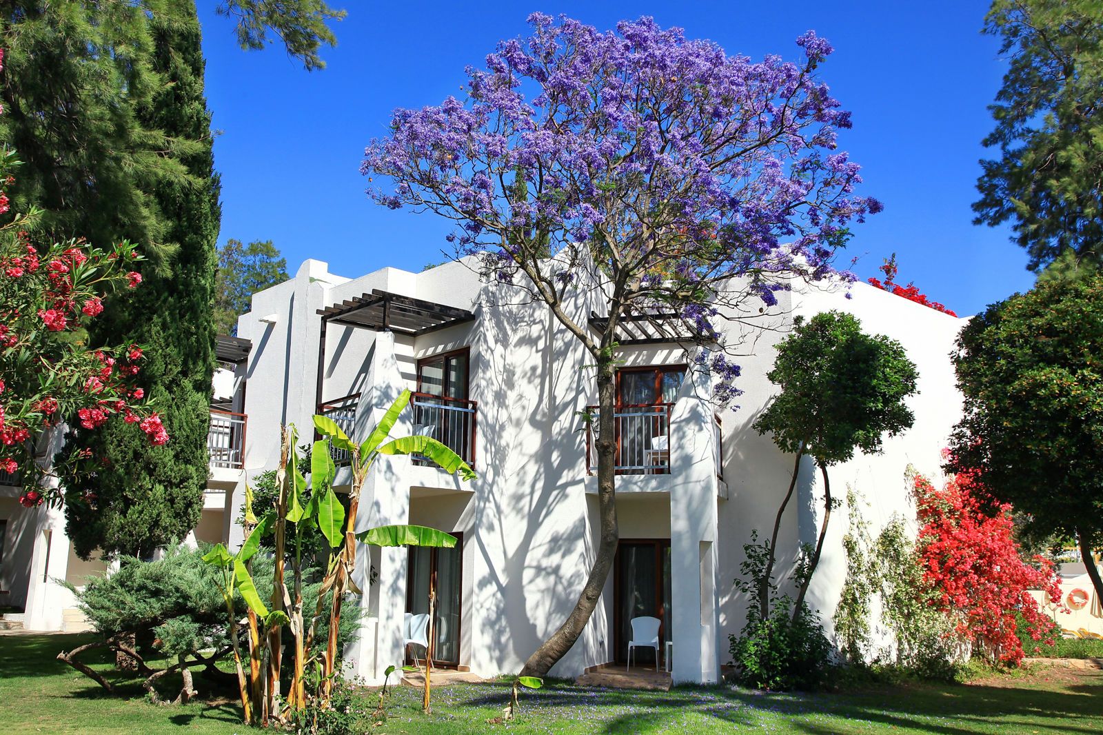 DoubleTree by Hilton Bodrum Isil Club Resort, foto 8