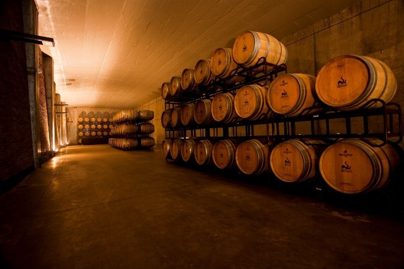 Hotel & Winery Señorio de Nevada, foto 15